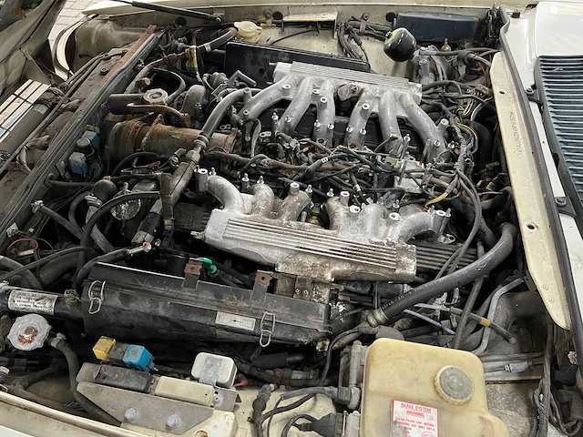 Jaguar xjs cabriolet 5.3 v12 265pk 1989 - afbeelding 11 van  36