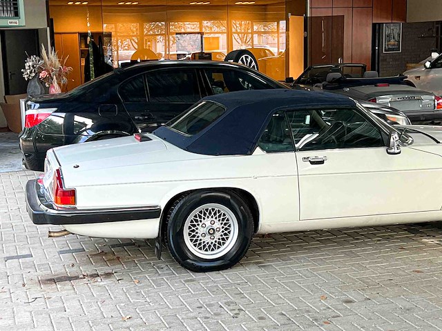 Jaguar xjs cabriolet 5.3 v12 265pk 1989 - afbeelding 3 van  36