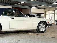 Jaguar xjs cabriolet 5.3 v12 265pk 1989 - afbeelding 8 van  36