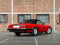 Jaguar xjs cabriolet 5.3 v12 265pk 1991 - afbeelding 5 van  38