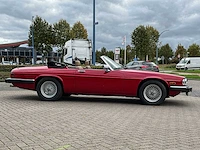 Jaguar xjs convertible v12 262pk 1989 - afbeelding 30 van  30