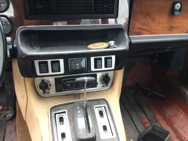Jaguar - afbeelding 12 van  20