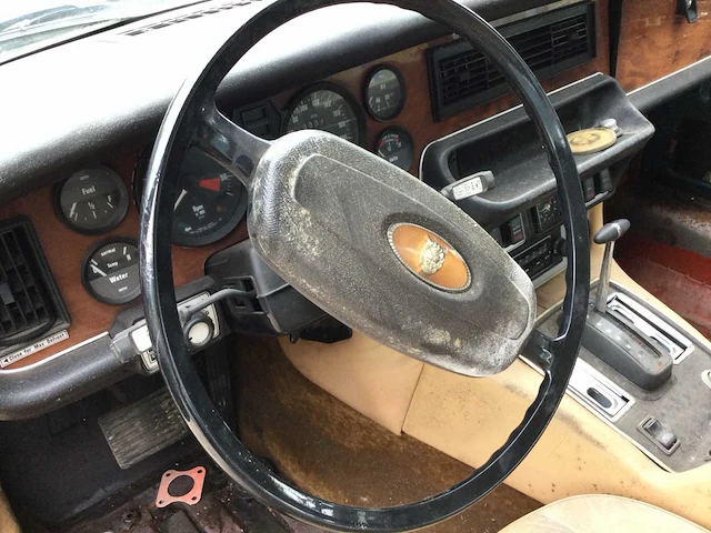 Jaguar - afbeelding 14 van  20