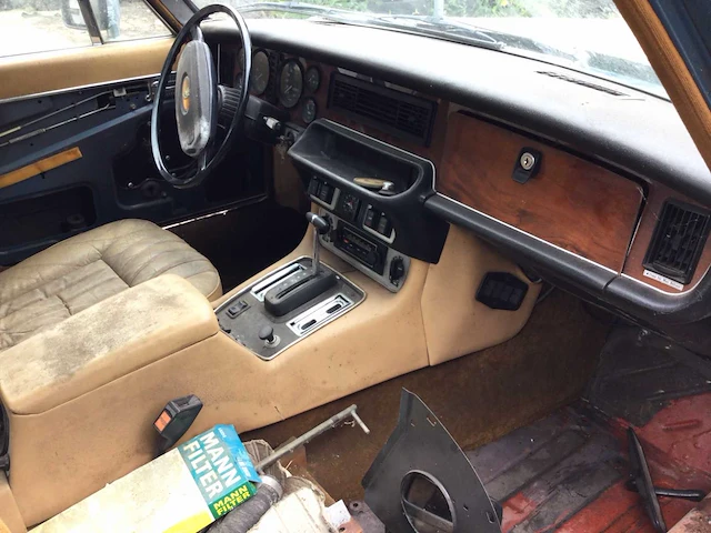 Jaguar - afbeelding 18 van  20