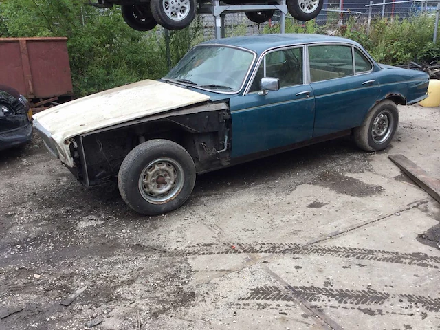 Jaguar - afbeelding 1 van  20