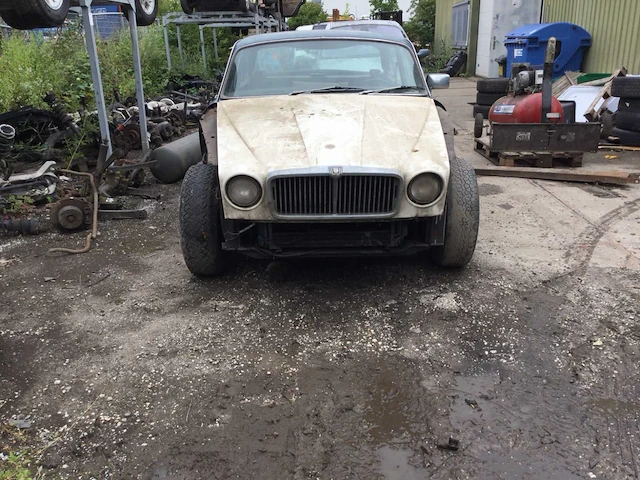 Jaguar - afbeelding 2 van  20