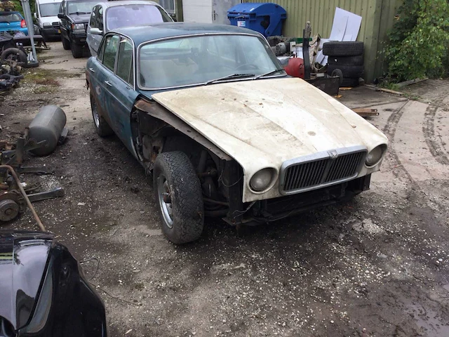 Jaguar - afbeelding 3 van  20