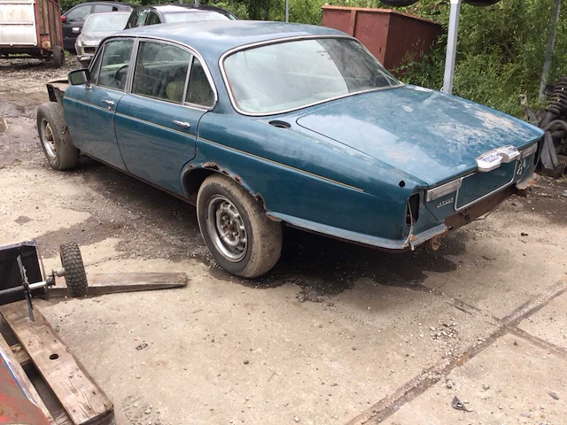 Jaguar - afbeelding 4 van  20