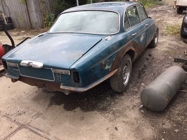 Jaguar - afbeelding 5 van  20