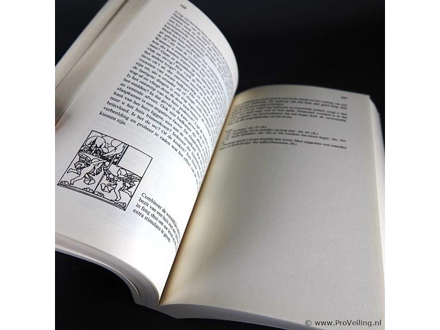 Jami lin. het grote feng shui boek - afbeelding 4 van  5