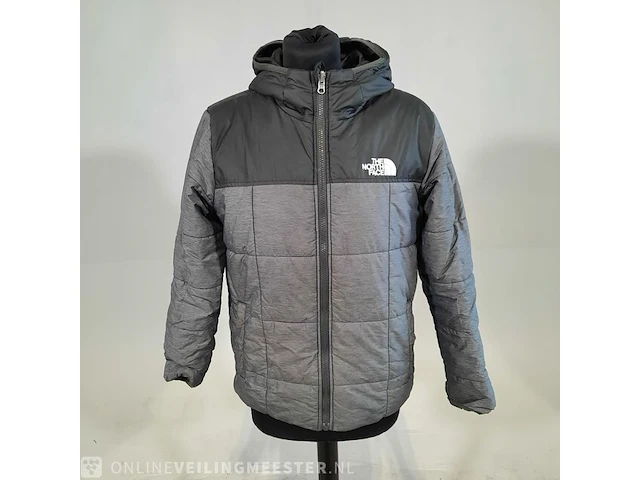 Jas, maat l the north face - afbeelding 1 van  7