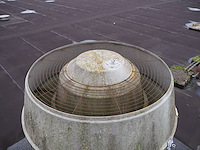 J.e. storkair - afbeelding 5 van  13