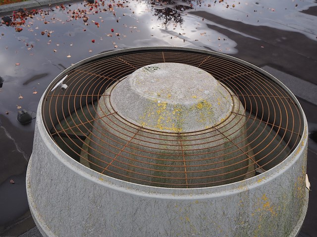 J.e. storkair - afbeelding 7 van  13