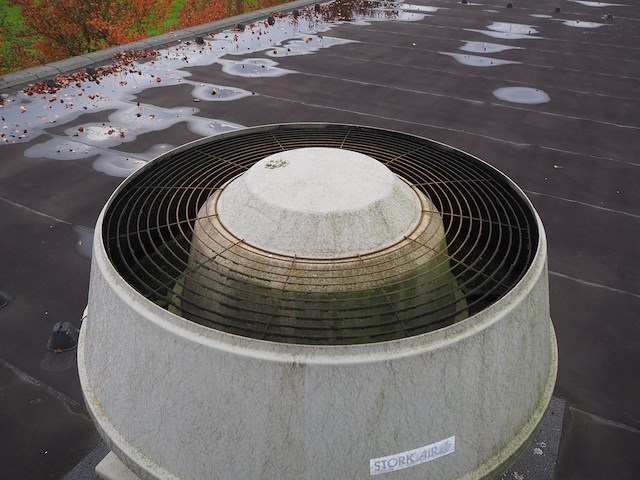 J.e. storkair - afbeelding 13 van  13