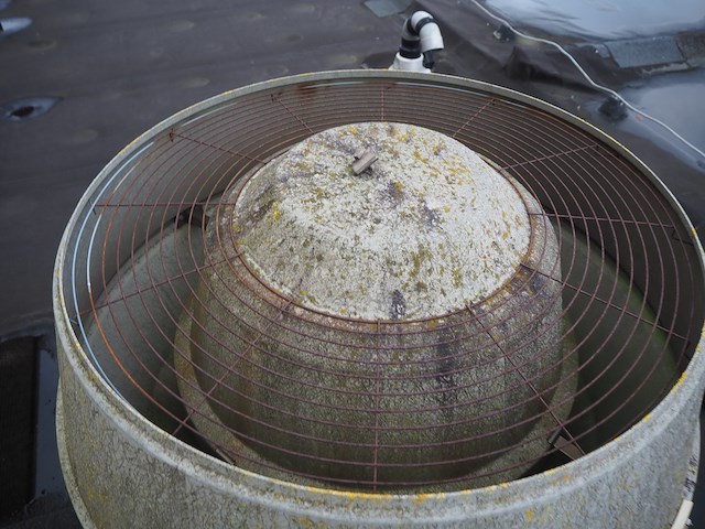 J.e. storkair - afbeelding 4 van  10