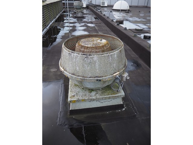 J.e. storkair - afbeelding 3 van  7