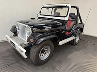Jeep - willys - 4x4 - oldtimer - 1958 - afbeelding 29 van  34
