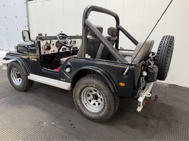 Jeep - willys - 4x4 - oldtimer - 1958 - afbeelding 32 van  34