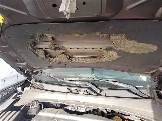 Jeep compass, 2019 - afbeelding 19 van  35