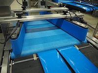 Jenton ariana - afbeelding 12 van  15