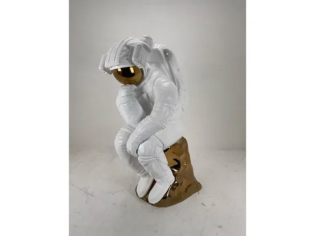 Joseph klibansky (1984), brons, the thinker - afbeelding 1 van  4