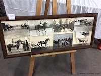 Kader vintage foto's paarden - afbeelding 1 van  3