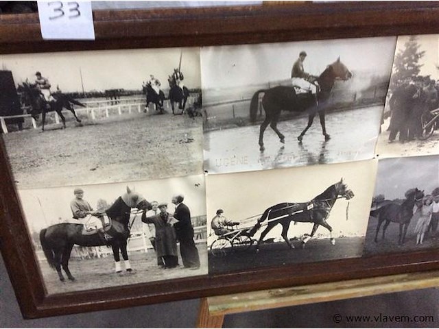 Kader vintage foto's paarden - afbeelding 2 van  3