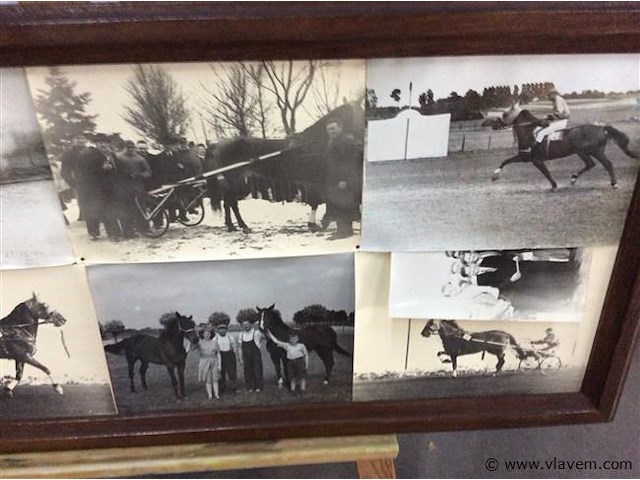 Kader vintage foto's paarden - afbeelding 3 van  3