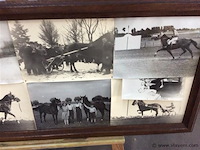 Kader vintage foto's paarden - afbeelding 3 van  3