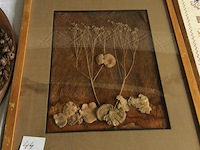 Kaders 3stuks divers - afbeelding 3 van  4