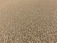 Kaki lounge tuinbank - afbeelding 2 van  10