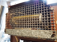 Kalmeijer - afbeelding 2 van  14