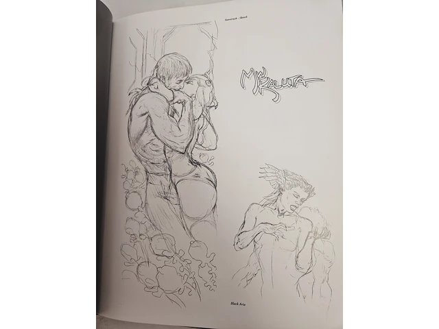 Kaluta book - kunst compendium - special edition - afbeelding 2 van  12