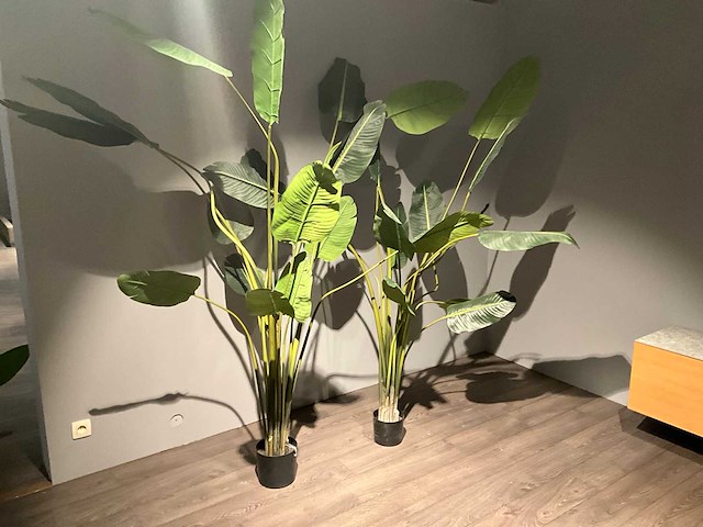 Kamerplant kunst (2x) - afbeelding 1 van  4