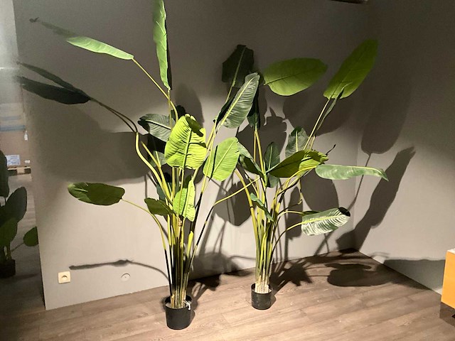 Kamerplant kunst (2x) - afbeelding 2 van  4