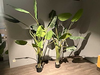 Kamerplant kunst (2x) - afbeelding 2 van  4