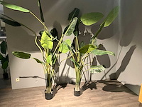 Kamerplant kunst (2x) - afbeelding 3 van  4