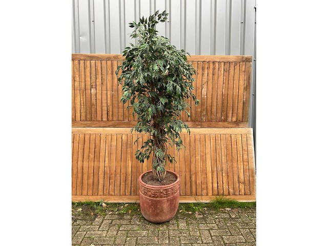 Kamerplant kunst ficus - afbeelding 2 van  3