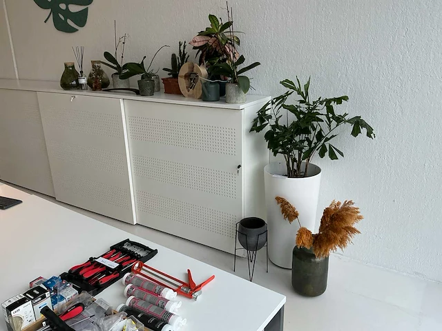 Kamerplanten - afbeelding 1 van  7