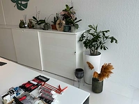Kamerplanten - afbeelding 1 van  7