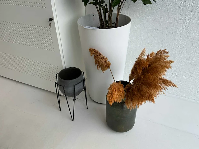 Kamerplanten - afbeelding 2 van  7