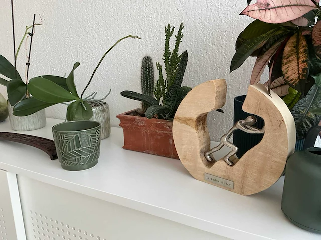 Kamerplanten - afbeelding 5 van  7
