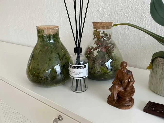 Kamerplanten - afbeelding 7 van  7