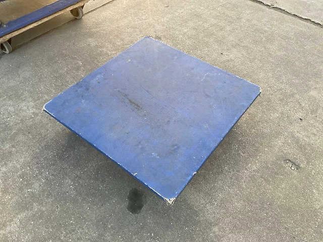 Kar met 10 hondjes - afbeelding 8 van  10