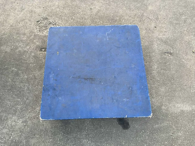 Kar met 10 hondjes - afbeelding 10 van  10