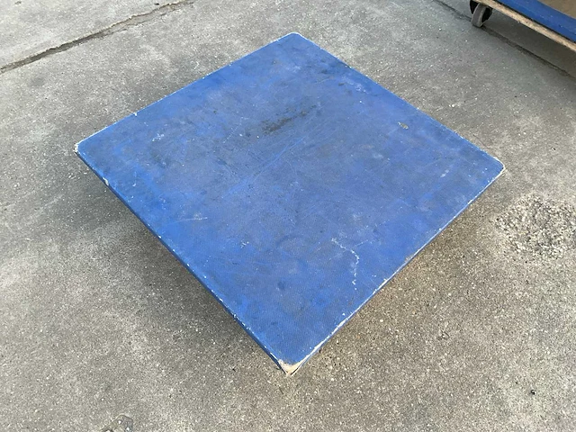 Kar met 10 hondjes - afbeelding 7 van  10