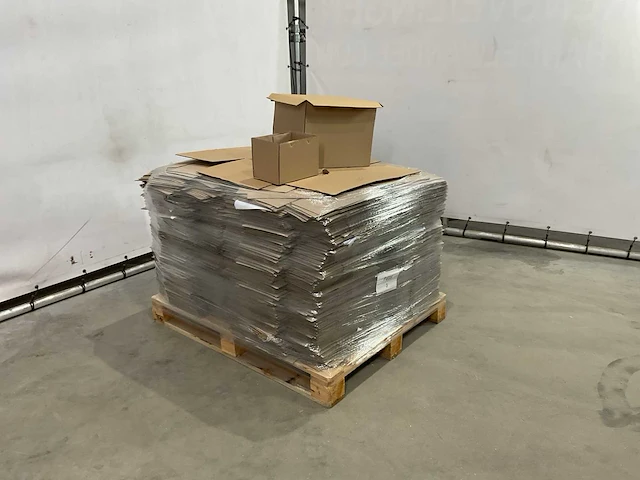 Kartonnen dozen (ca. 3500 stuks) - afbeelding 7 van  11