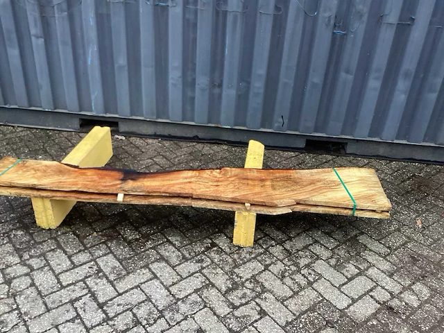 Kastanje (2x) - afbeelding 2 van  5