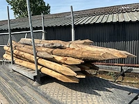 Kastanje palen (22x) - afbeelding 2 van  7