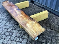 Kastanje - afbeelding 1 van  5